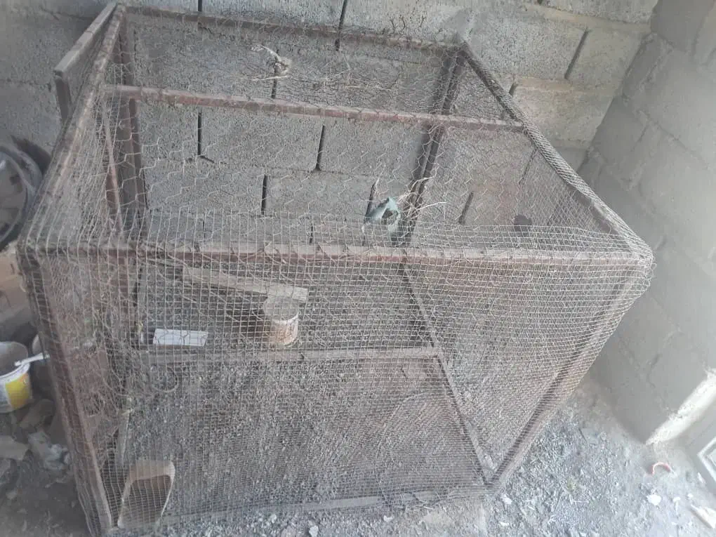 قفس بزرگ|لوازم جانبی حیوانات|میناب, |دیوار