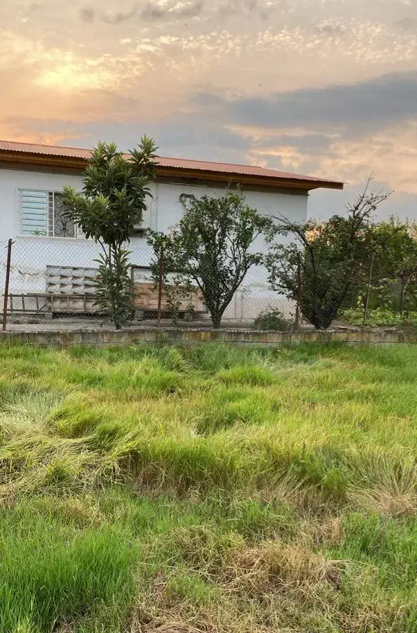 فروش زمین/شهرکی/تفکیک شده|فروش زمین و ملک کلنگی|دابودشت, |دیوار