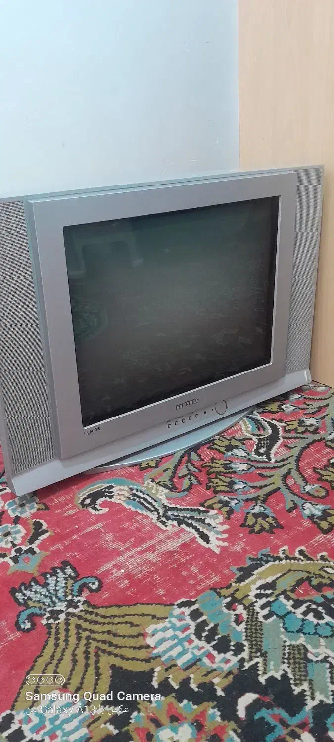 دو عدد تلوزیون|تلویزیون و پروژکتور|سرخنکلاته, |دیوار