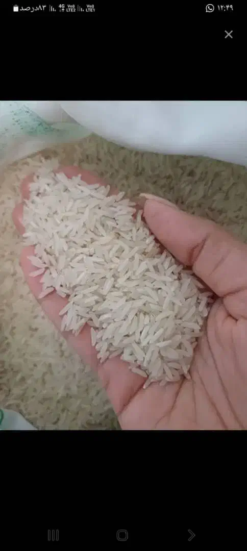 برنج|خوردنی و آشامیدنی|اسلام‌شهر, شهرک قائمیه|دیوار