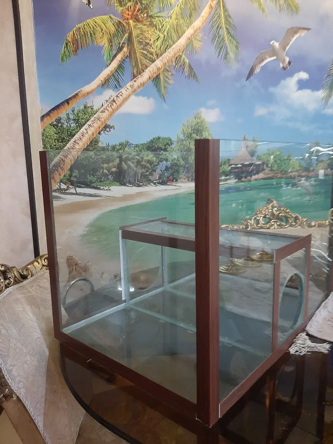 آکواریوم حیوانات|لوازم جانبی حیوانات|تهران, جنت‌آباد مرکزی|دیوار