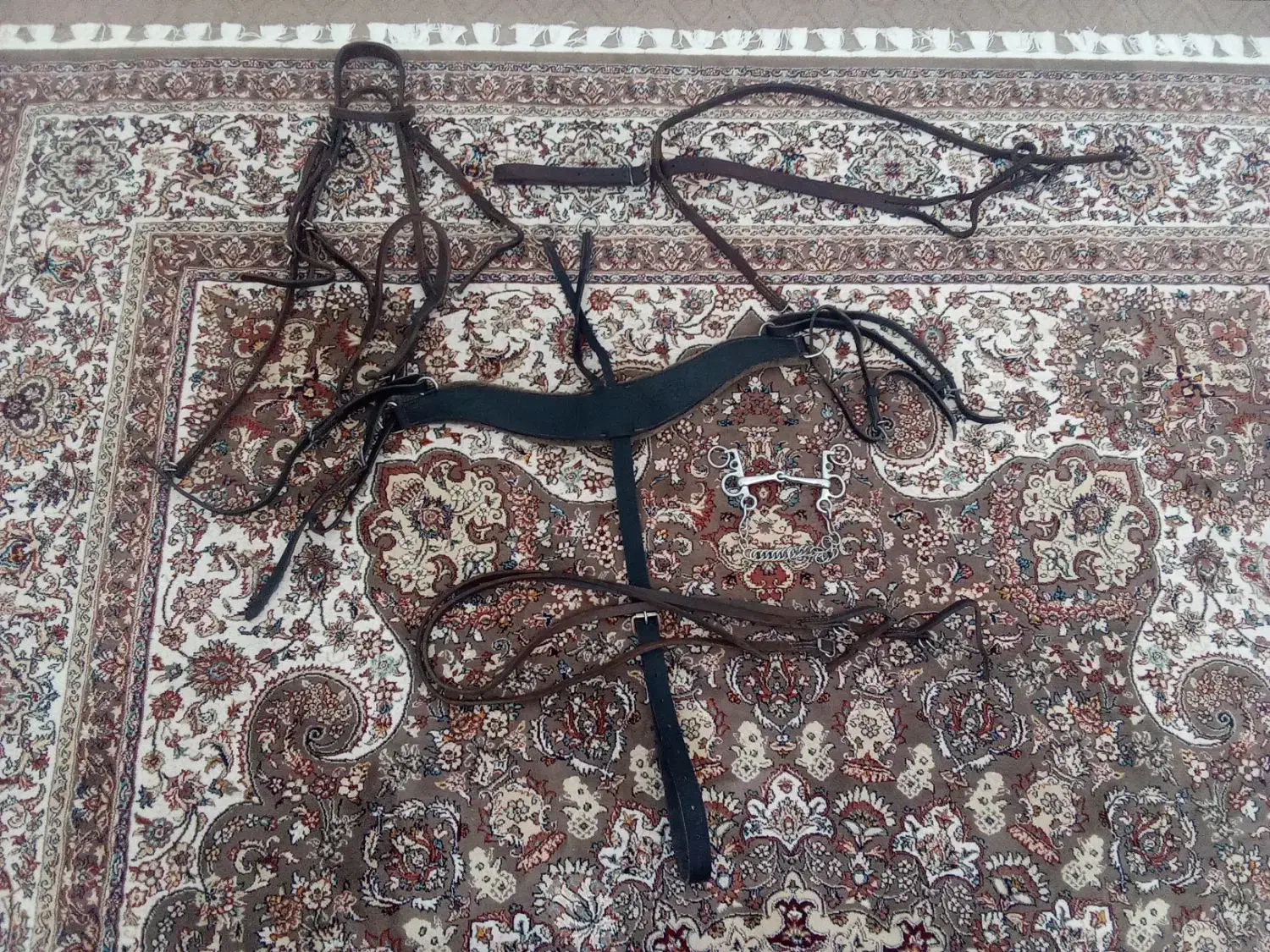 تجهیزات سوار کاری|اسب و تجهیزات اسب‌سواری|لنجان, |دیوار