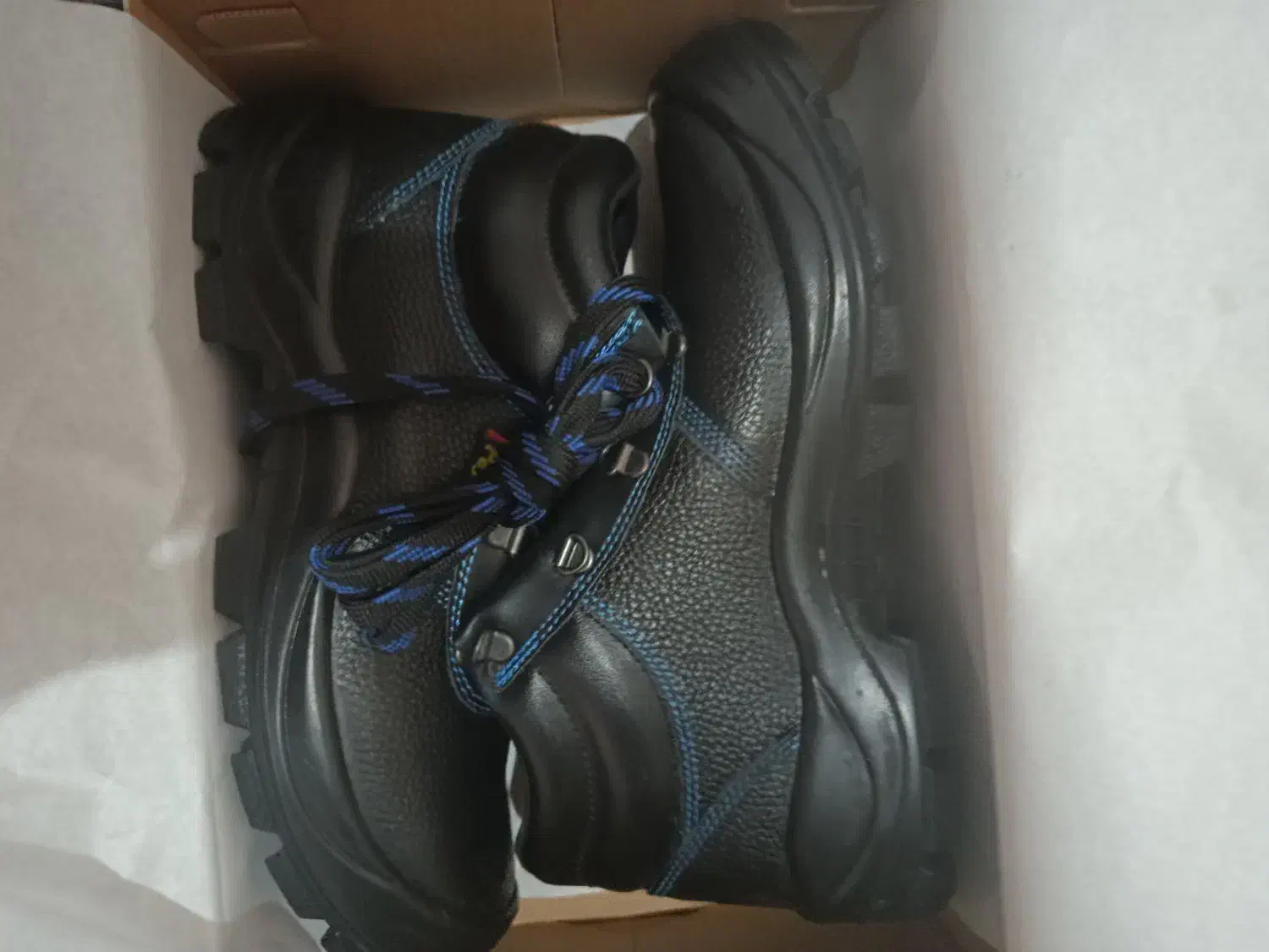 کفش کار نو|کیف، کفش، کمربند|زنجان, |دیوار