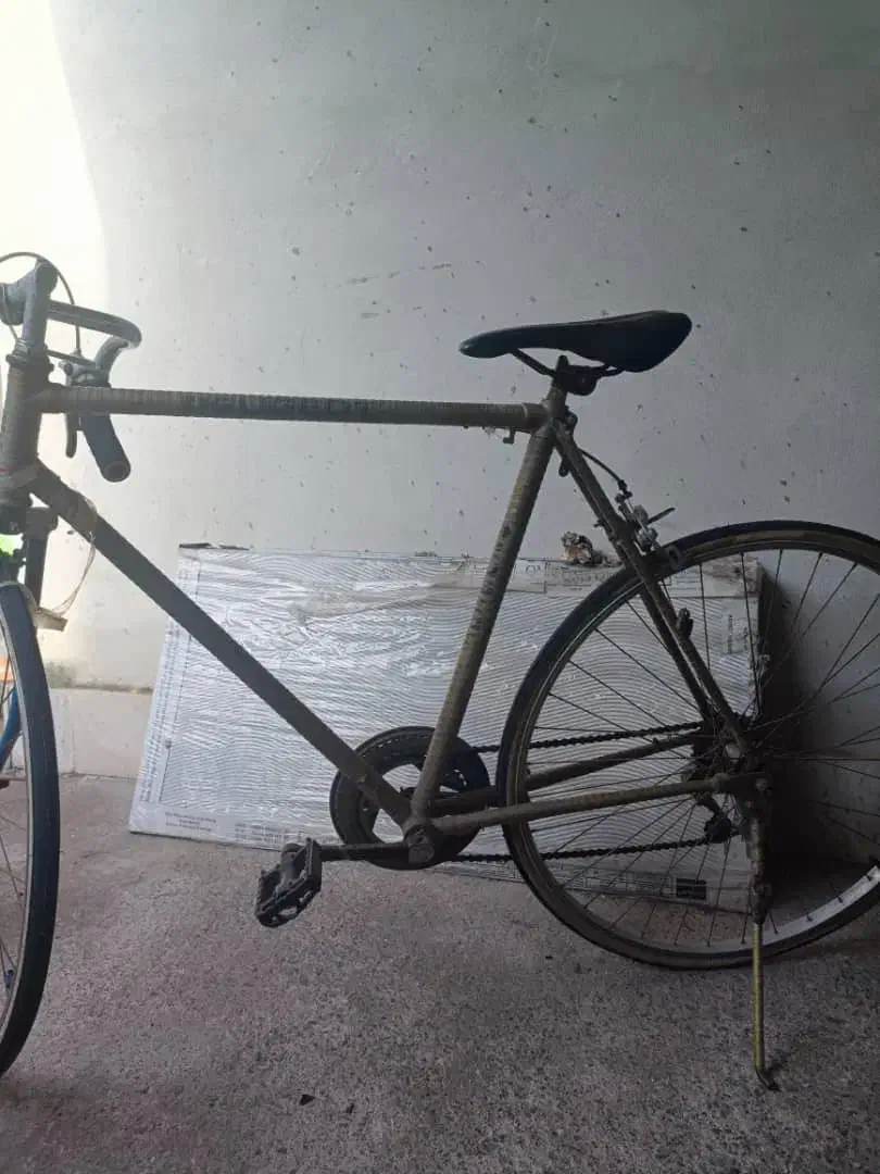 دوچرخه کورسی|دوچرخه، اسکیت، اسکوتر|رشت, کوی مهر|دیوار