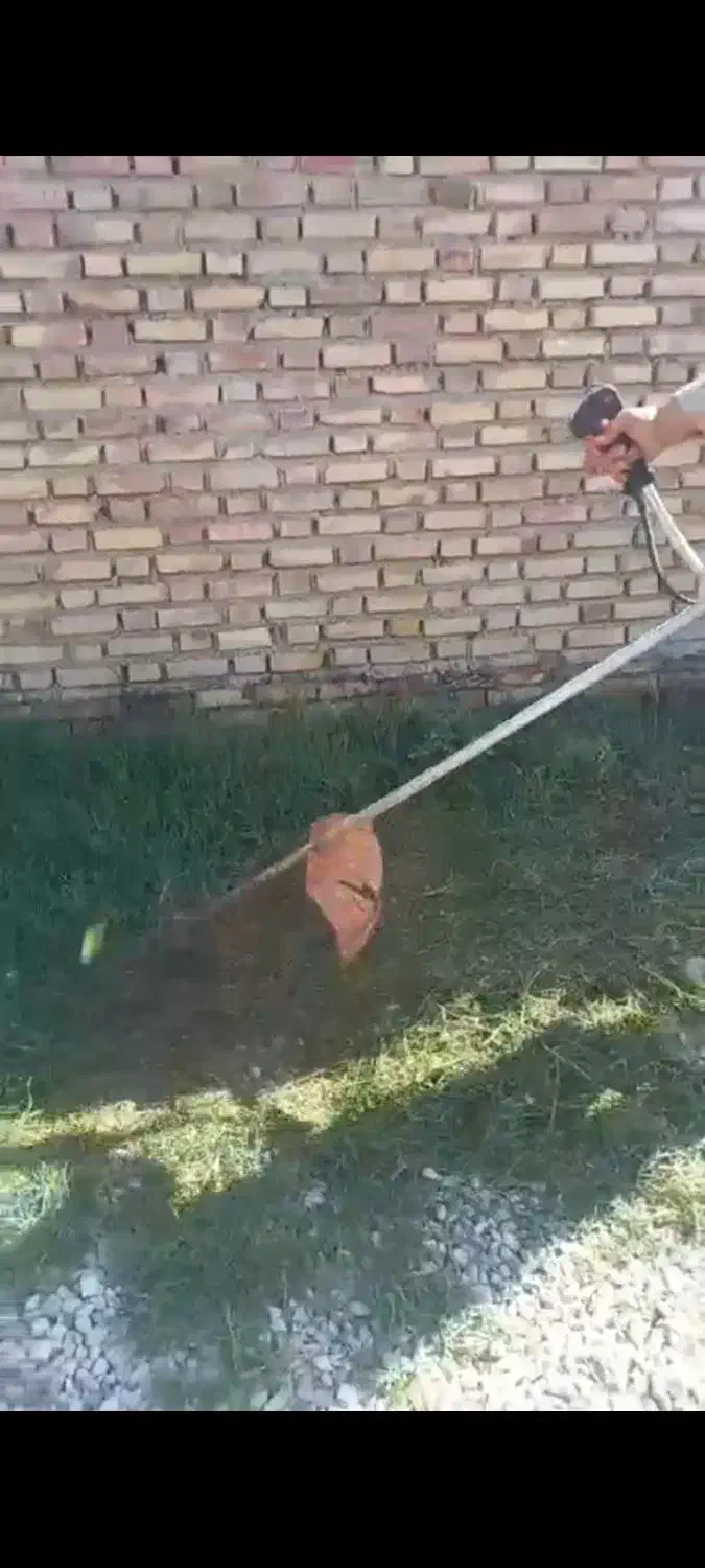 خدمات باغی|خدمات باغبانی و درختکاری|گنبد کاووس, |دیوار