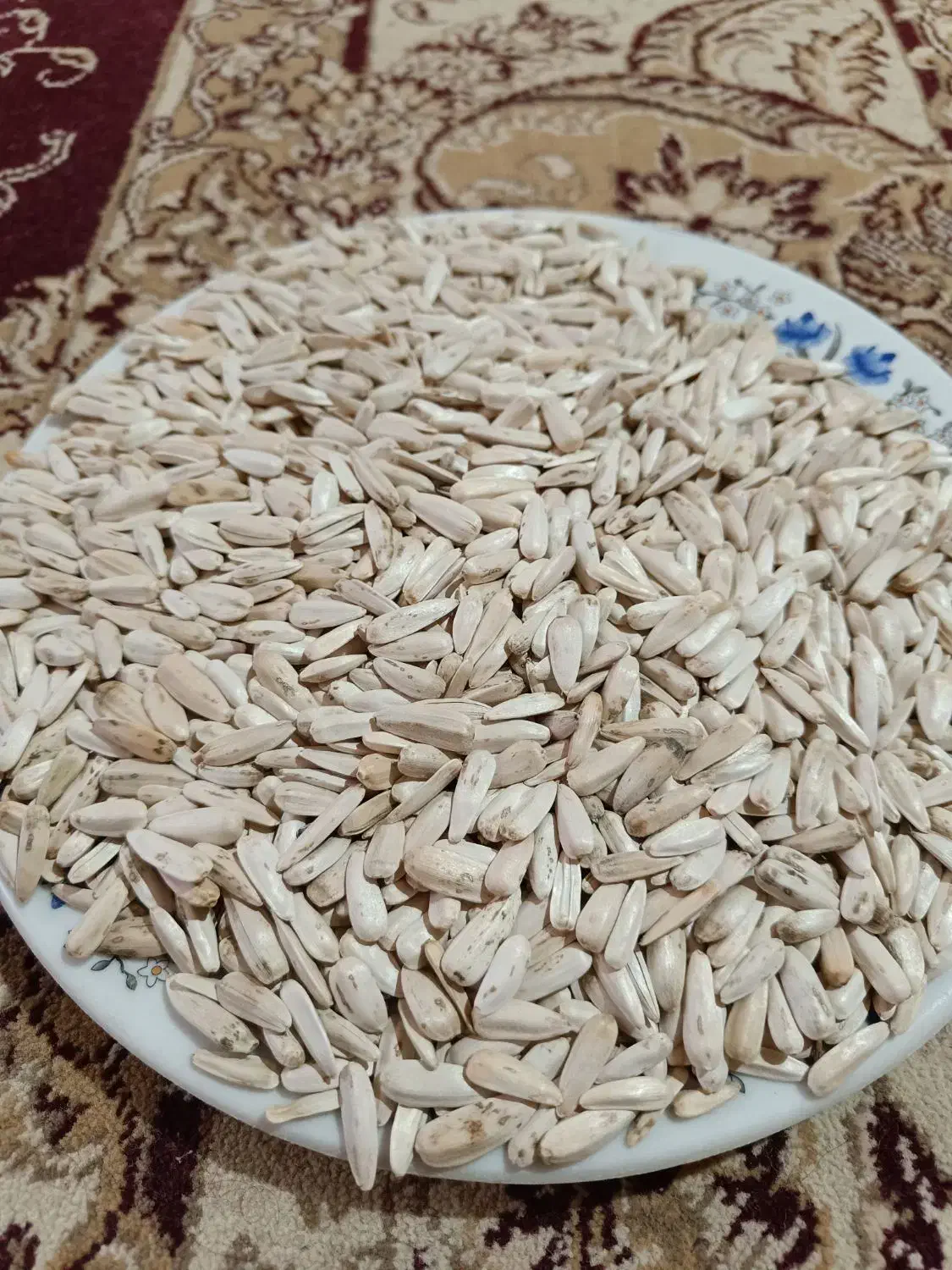 تخمک افتاب گردان|خوردنی و آشامیدنی|مشهد مرغاب, |دیوار