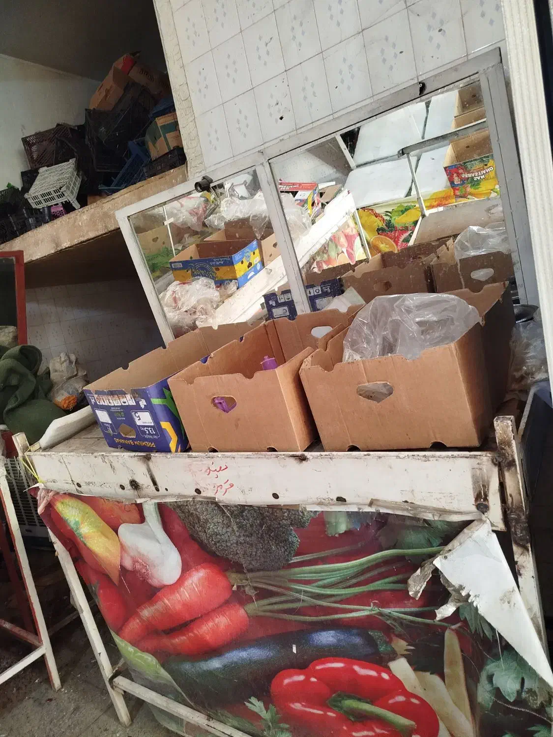 میز میوه|فروشگاه و مغازه|یاسوج, |دیوار