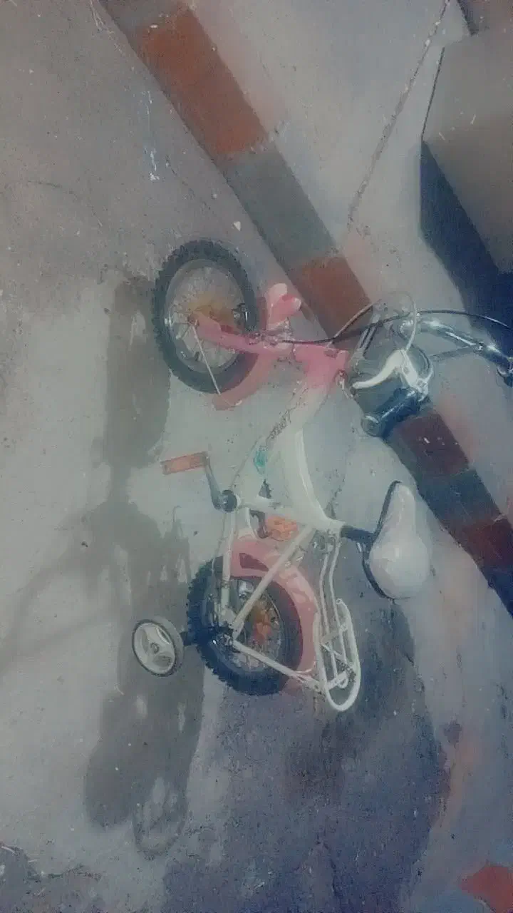 دوچرخه|دوچرخه، اسکیت، اسکوتر|تبریز, |دیوار