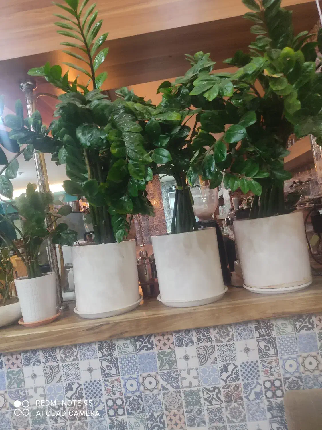 کمک آشپز در محدوده آزادی ۲۴آذر|استخدام خدمات فروشگاه و رستوران|کرمان, |دیوار