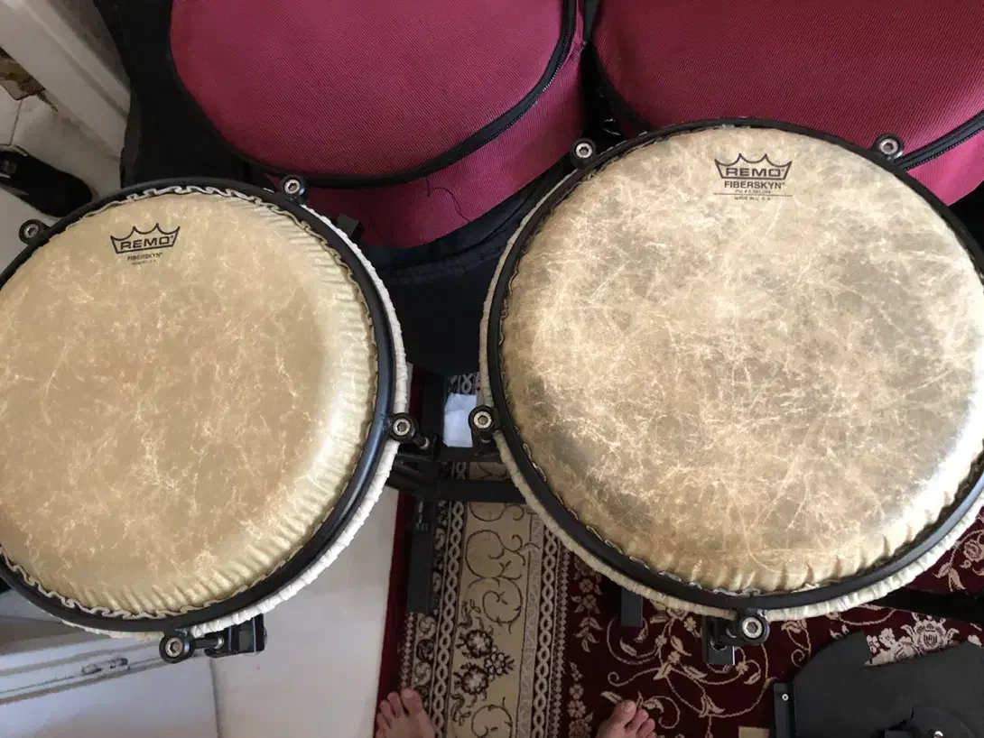 تراول کونگا کوبکا|درام و پرکاشن|ری, علایین|دیوار