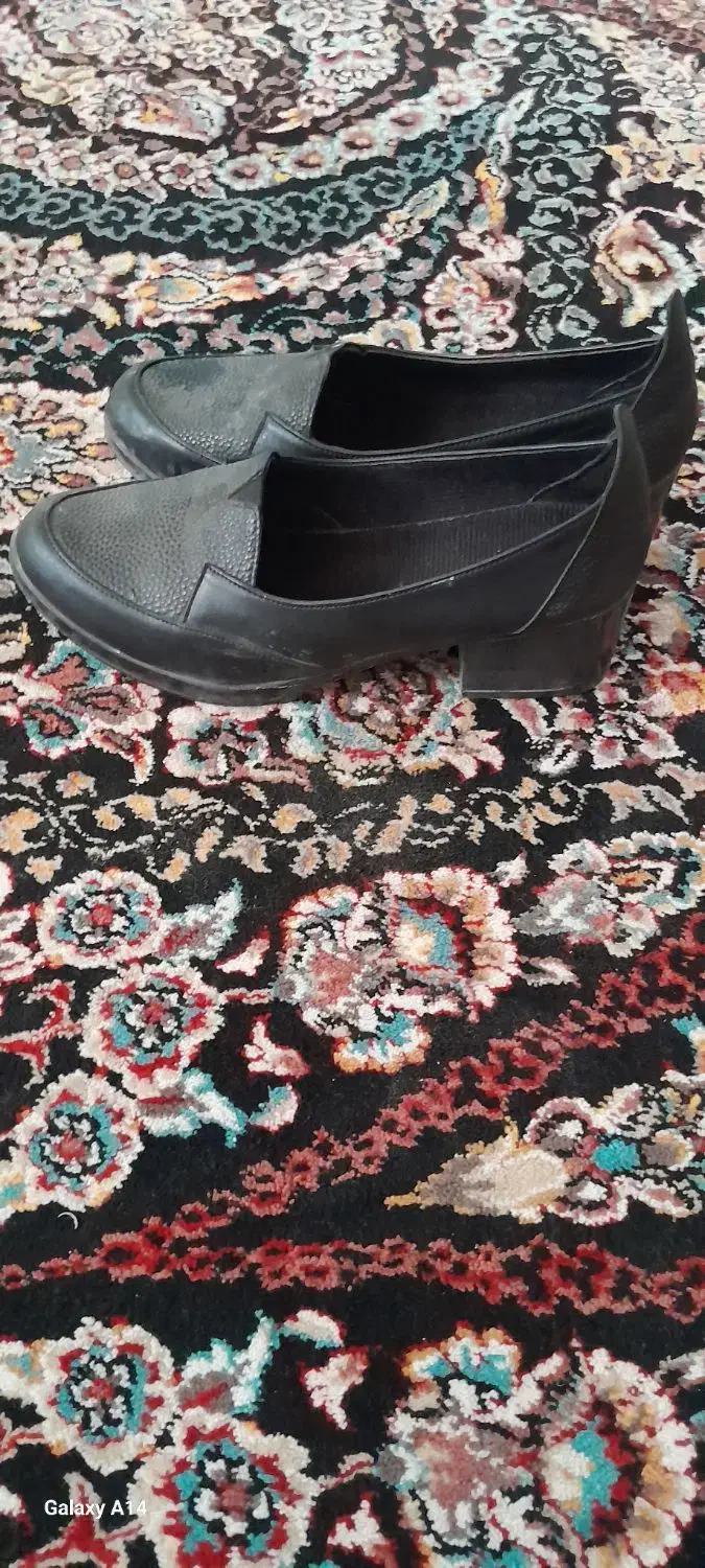 کفش زنانه|کیف، کفش، کمربند|بندر گناوه, |دیوار