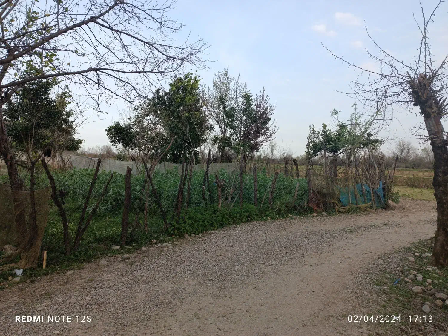 زمین مسکونی ویو ابدی|فروش زمین و ملک کلنگی|ماکلوان, |دیوار