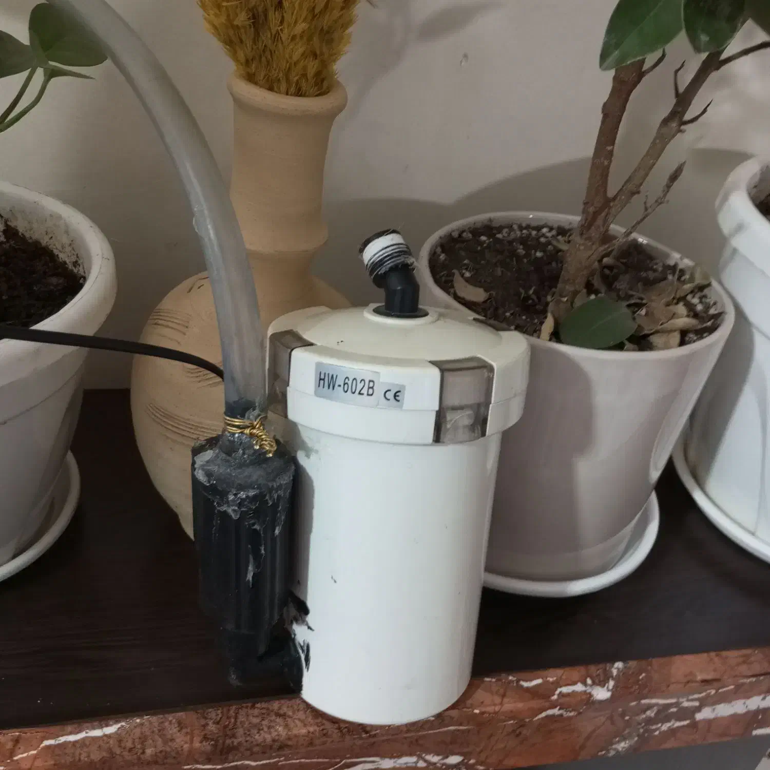 فیلتر تصویه آکواریوم سطلی|ماهی|تهران, بازار|دیوار