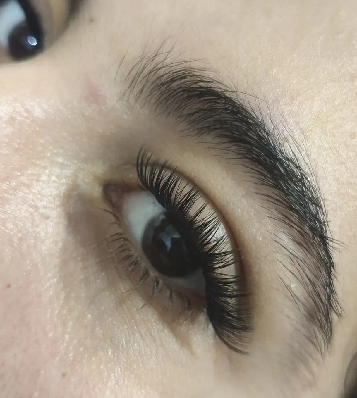 کاشت مژه|خدمات آرایشگری و زیبایی|خرمآباد, |دیوار