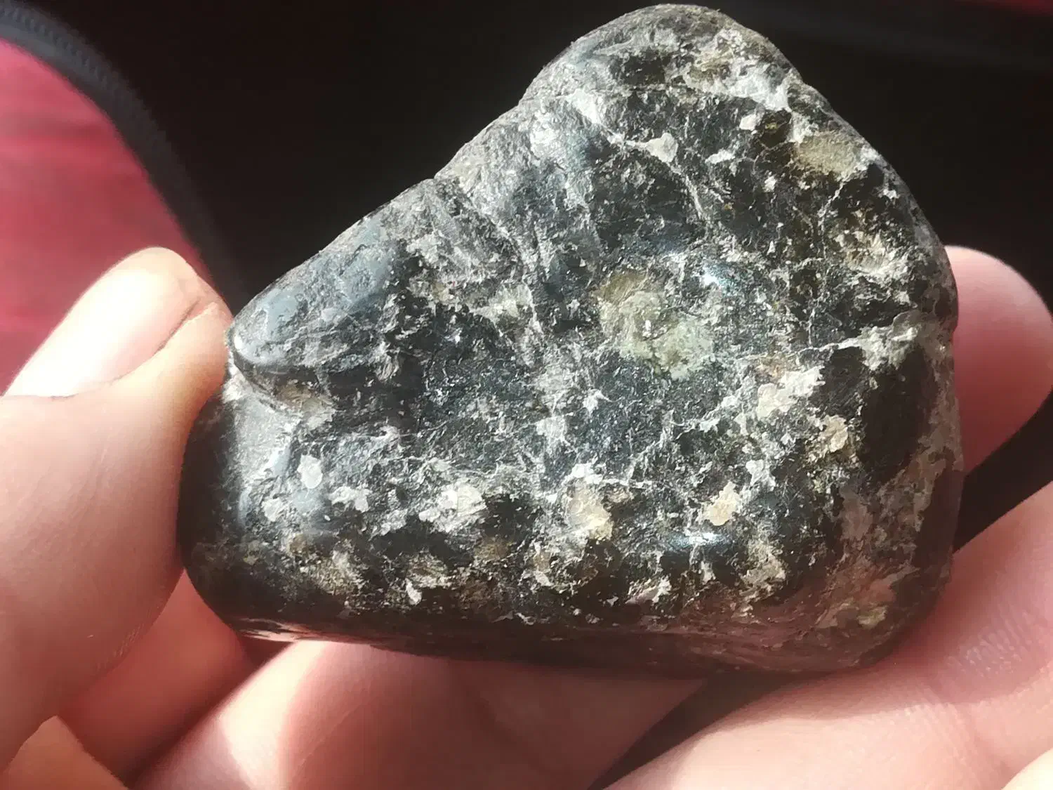 شهاب سنگ پالاساید|کلکسیون اشیاء عتیقه|تهران, تهرانپارس شرقی|دیوار