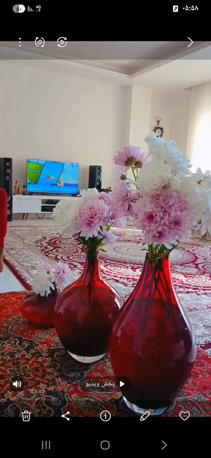 قالی ۱۲ متری|فرش|گرگان, |دیوار