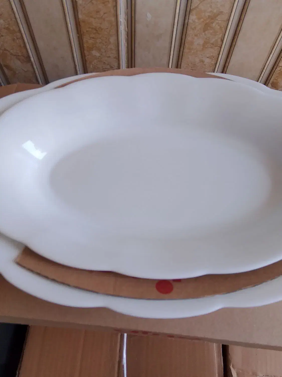 ارکوپال ۵ماه|ظروف سرو و پذیرایی|خاش, |دیوار