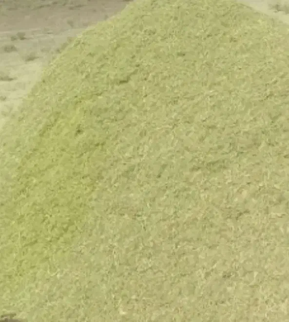 خارشترآماده تحویل جوین|لوازم جانبی حیوانات|عطاملک, |دیوار