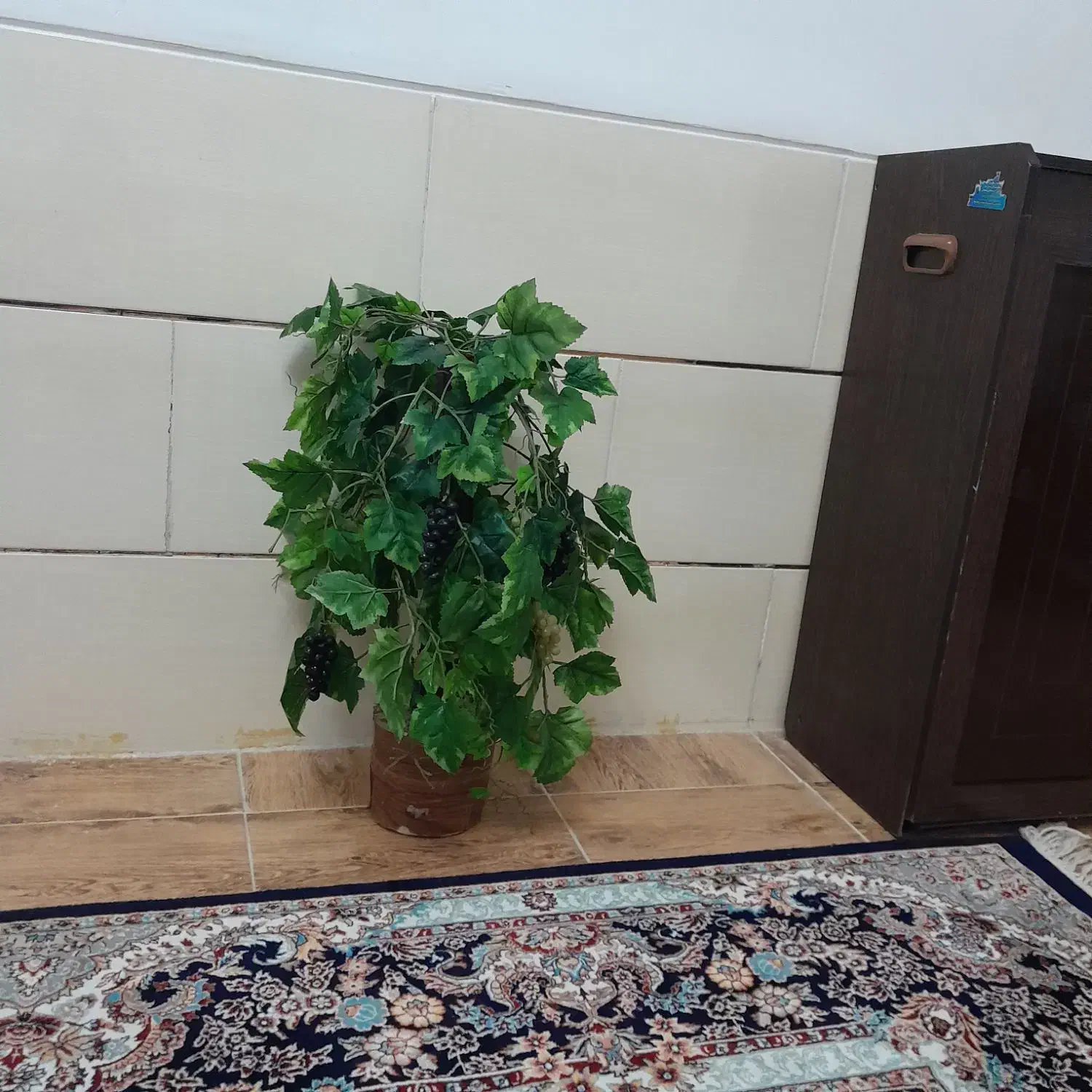 درخت انگور مصنوعی ۹۰سانت هست|گل مصنوعی|شیراز, ارم|دیوار