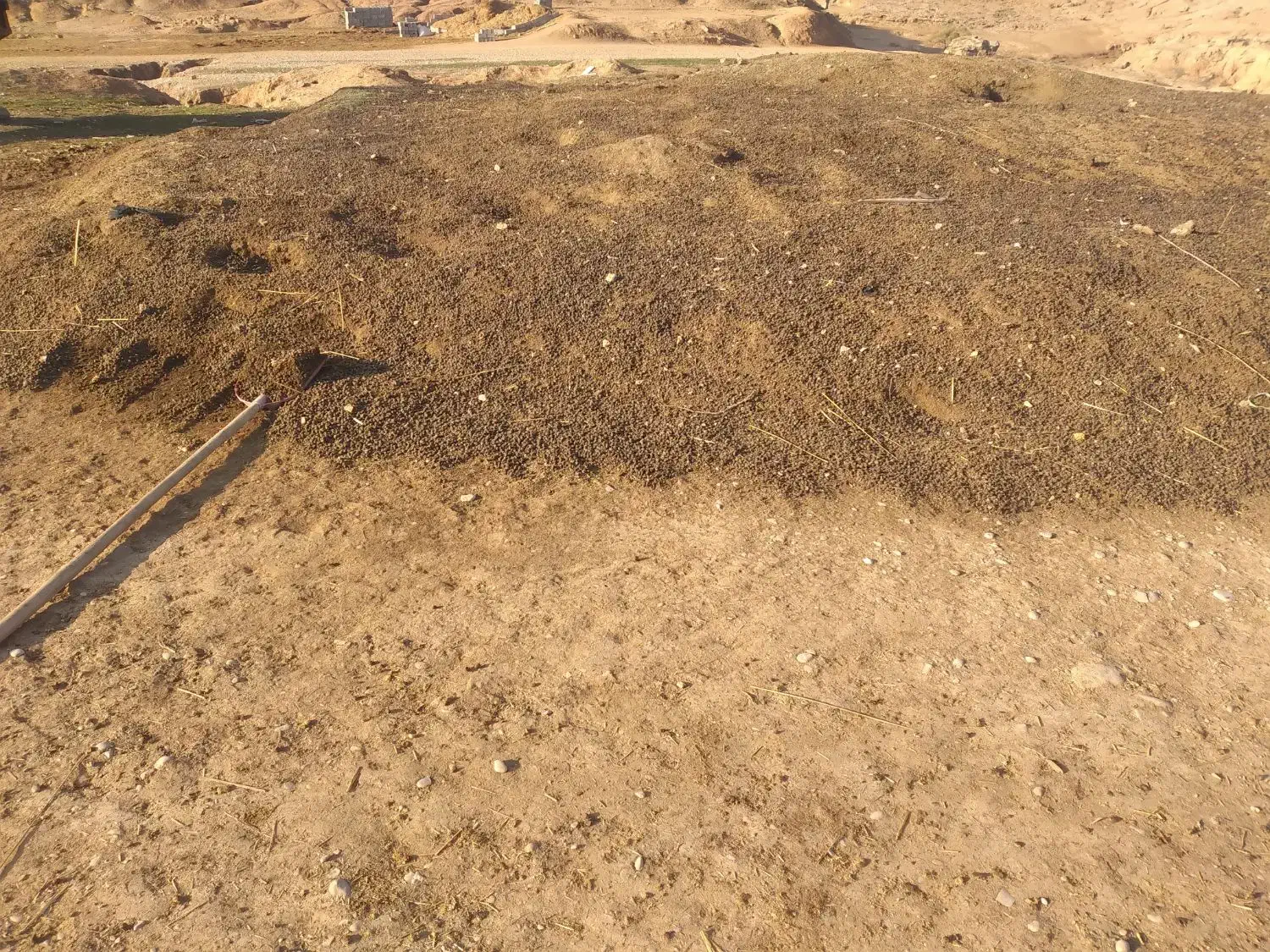 کود|خدمات باغبانی و درختکاری|شوشتر, |دیوار