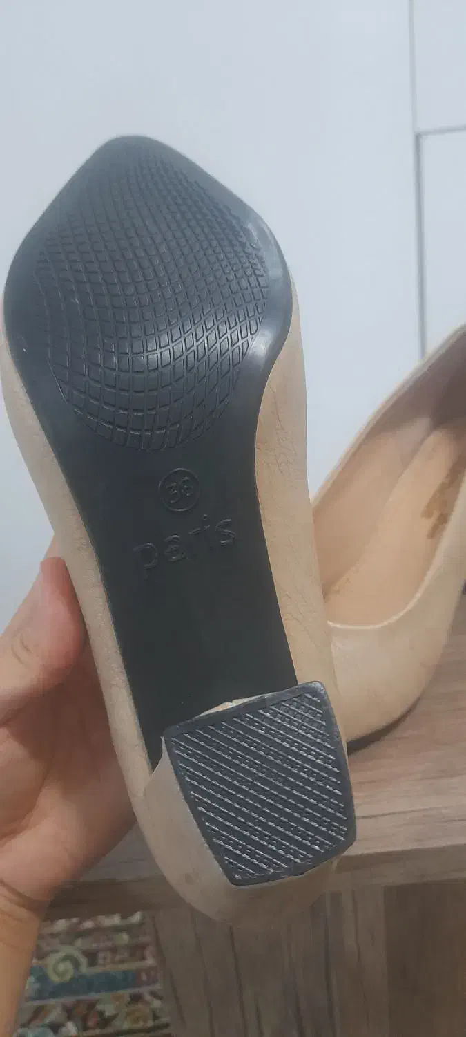 کفش|کیف، کفش، کمربند|مشهد, کوی سیدی|دیوار