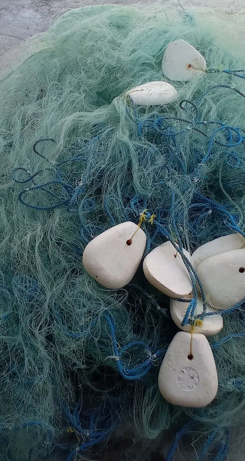 تور|ماهیگیری|هندیجان, |دیوار