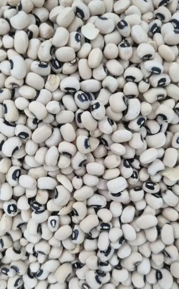 لوبیا چشم بلبلی|خوردنی و آشامیدنی|رستم, |دیوار