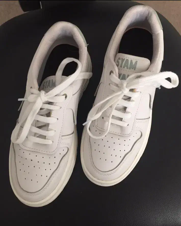 کفش|کیف، کفش، کمربند|مشهد, سجاد شهر|دیوار