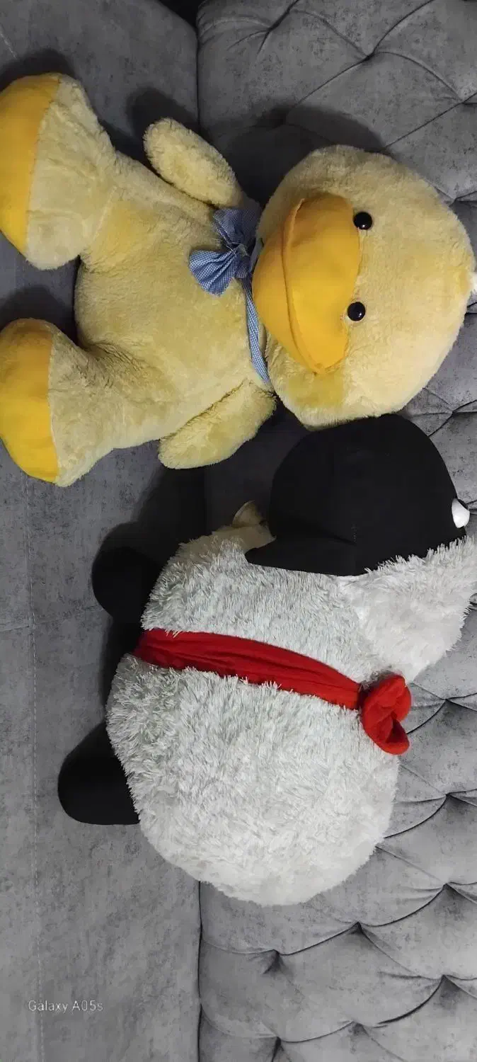 عروسک|اسباب‌بازی بچه|مسجد سلیمان, |دیوار