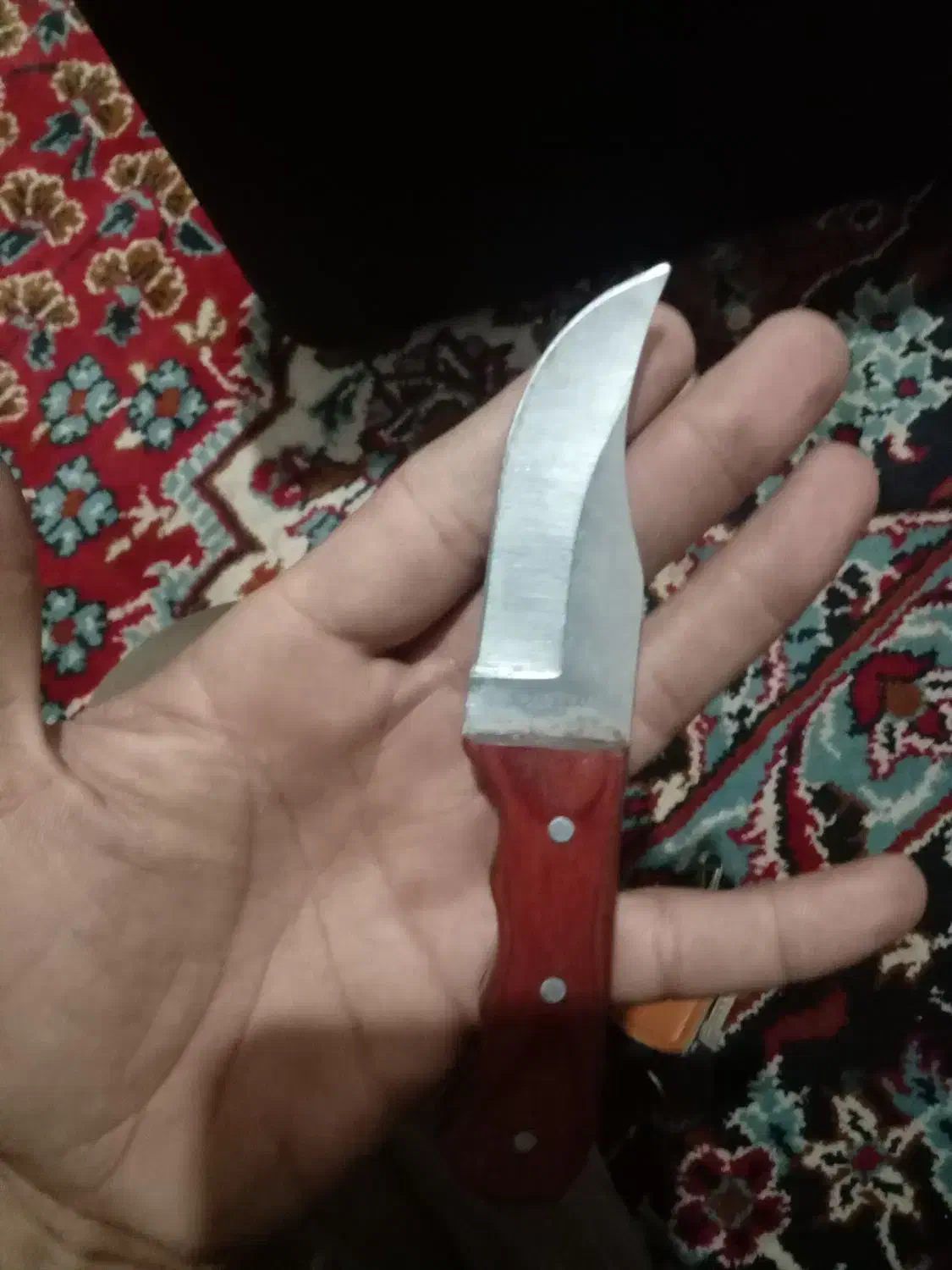 چاقو کوچیک کوهستانی|کوهنوردی و کمپینگ|گالیکش, |دیوار