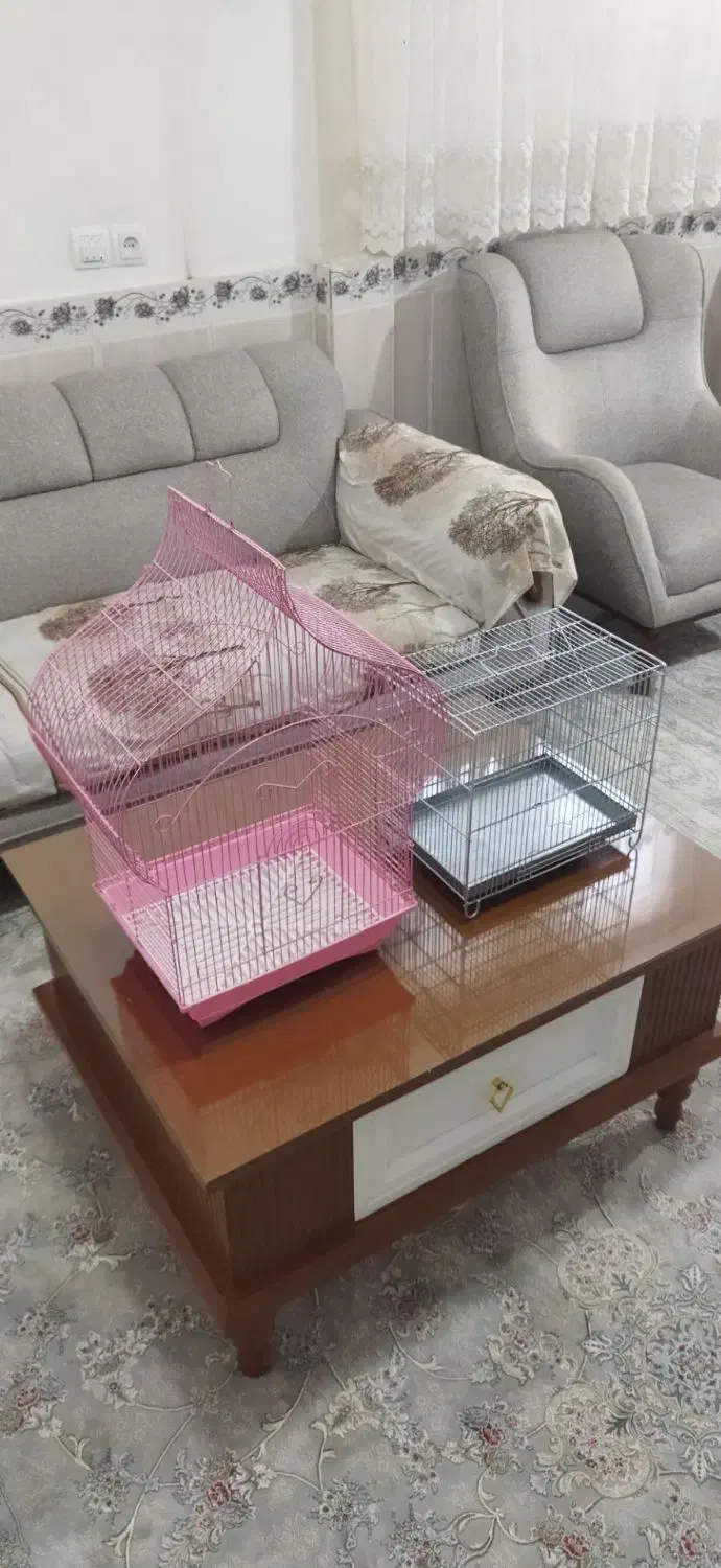 قفس سهره قناری|لوازم جانبی حیوانات|رباط‌کریم, شترخوار|دیوار