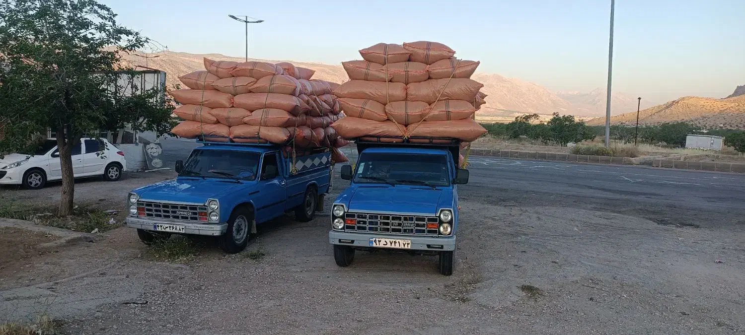 یونجه|خدمات باغبانی و درختکاری|داراب, |دیوار