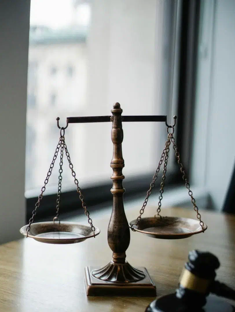 متخصص امور مهاجرت و بین الملل|خدمات حمل و نقل|تهران, میرداماد|دیوار