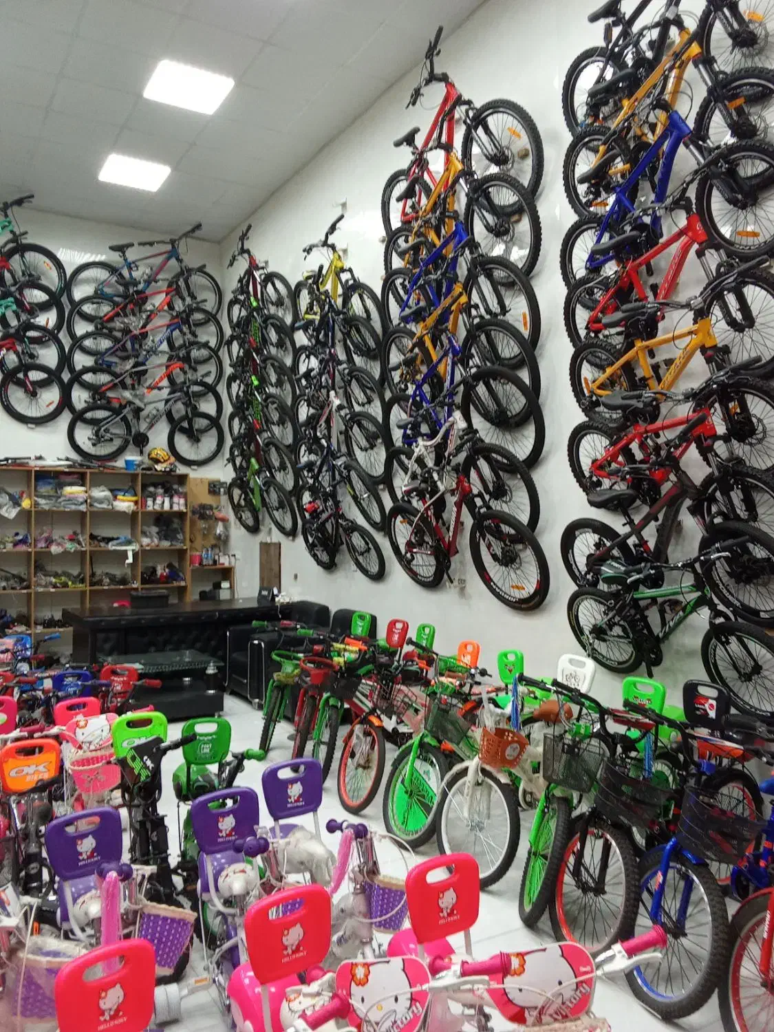 دوچرخه 10 ماهه بدون سود|دوچرخه، اسکیت، اسکوتر|گرگان, |دیوار