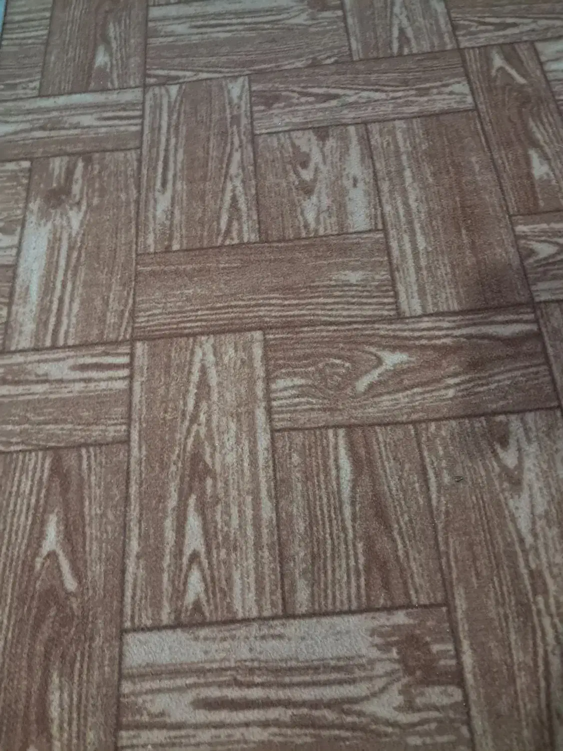 موکت|موکت|امیدیه, |دیوار