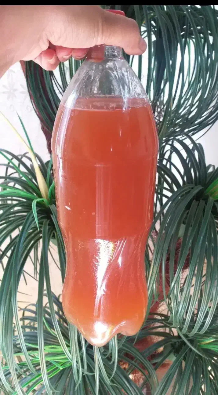 آبغوره طبیعی|خوردنی و آشامیدنی|مشهد, سید رضی|دیوار