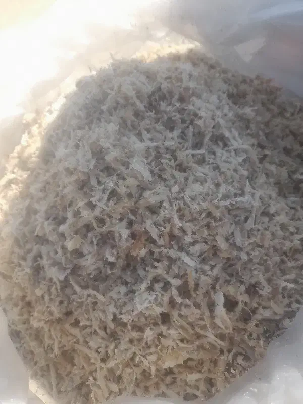 تلیف تازه|عمده‌فروشی|اردبیل, |دیوار