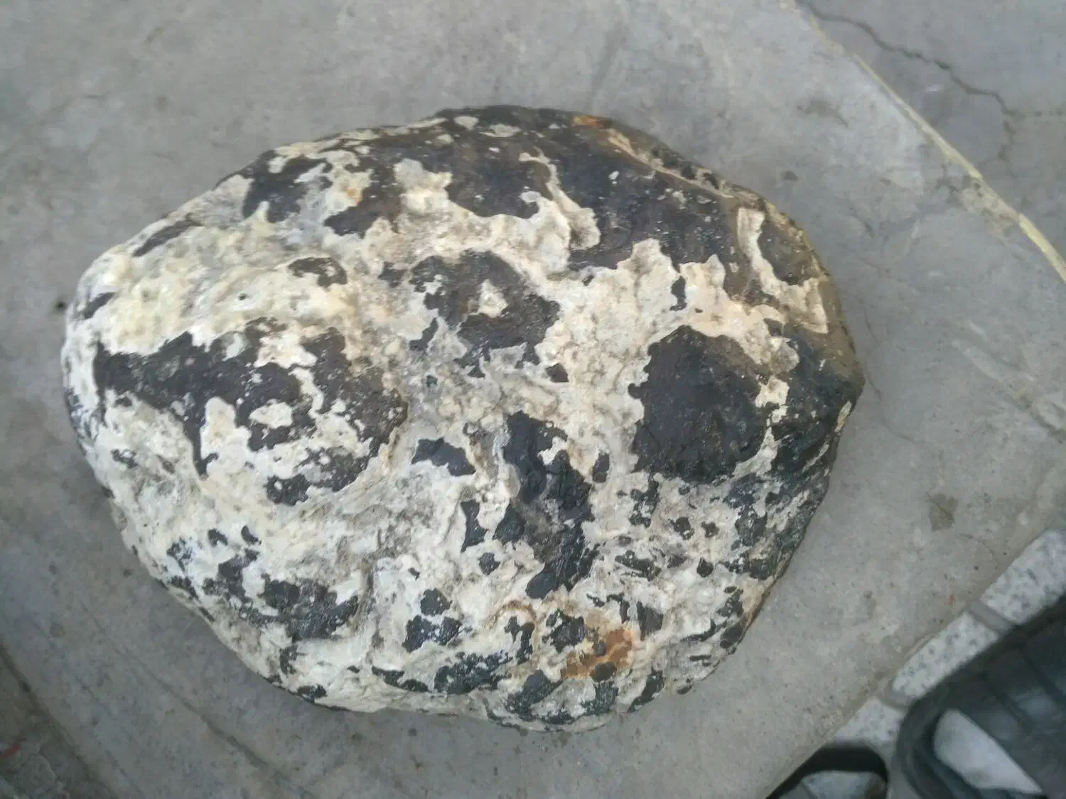 شهاب سنگ|کلکسیون اشیاء عتیقه|قزوین, |دیوار