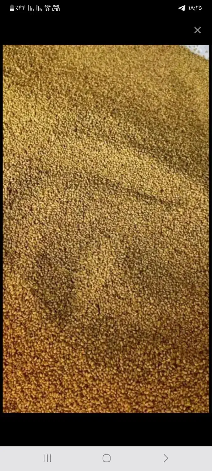 تخمه یونجه درجه یک بوجاری شده حدود ۲۰۰ کیلوگرم|خدمات باغبانی و درختکاری|معصومیه, |دیوار