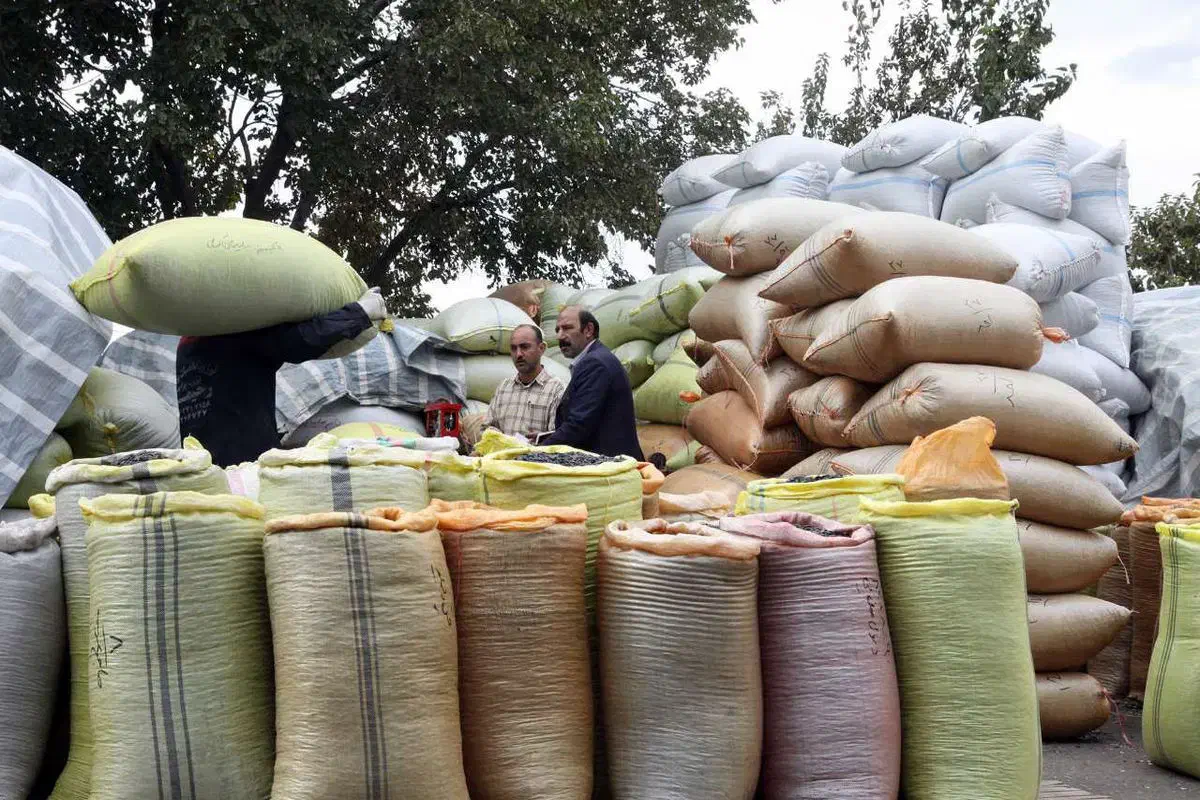 تخمه قیمت عمده اعلا|عمدهفروشی|تهران, ترمینال غرب|دیوار