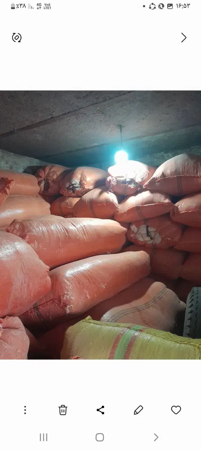 کاه درجه ۱|لوازم جانبی حیوانات|لالی, |دیوار