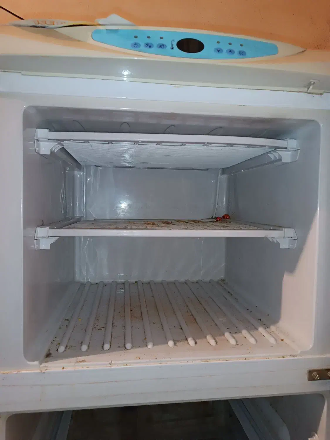 یخچال فریزر|یخچال و فریزر|بندرعباس, |دیوار