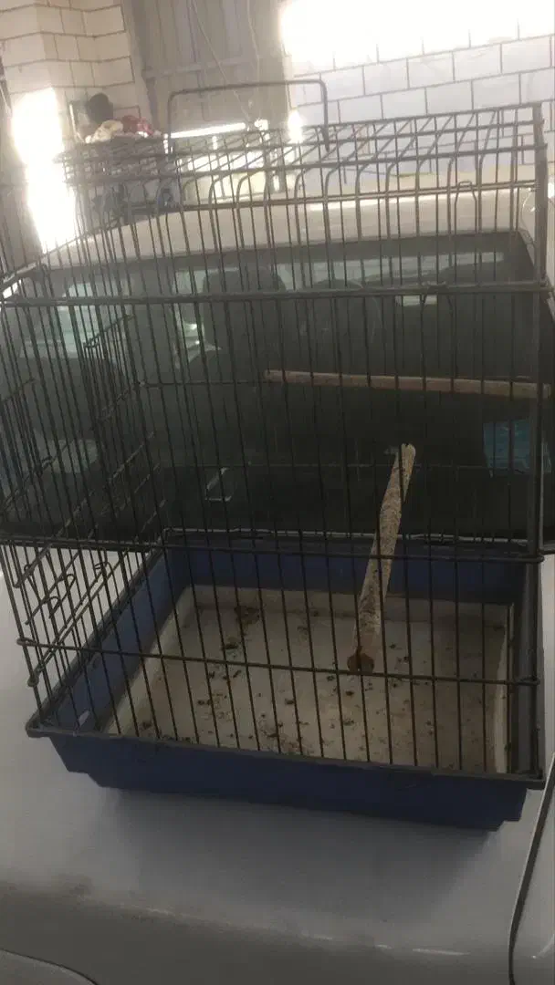 دو عدد قفس مرغ مینا و طوطی سالم|لوازم جانبی حیوانات|اهواز, کوی سعدی|دیوار