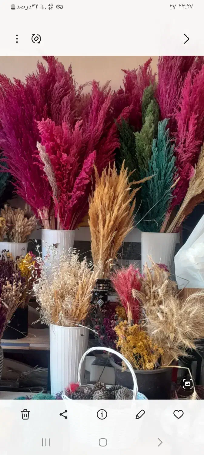 وسایل کامل گلفروشی در ماکو|گل و گیاه طبیعی|ماکو, |دیوار