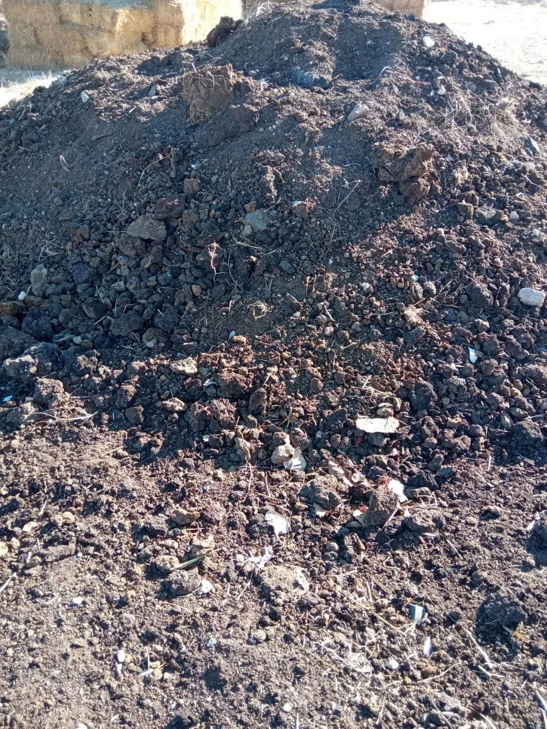 کود|خدمات باغبانی و درختکاری|آستارا, |دیوار