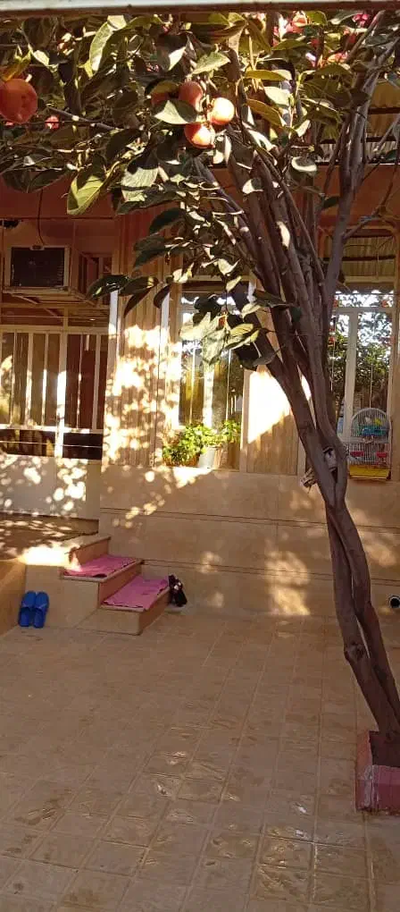 خانه در خ مطهری کوچه 27|فروش خانه و ویلا|پارس‌آباد, |دیوار