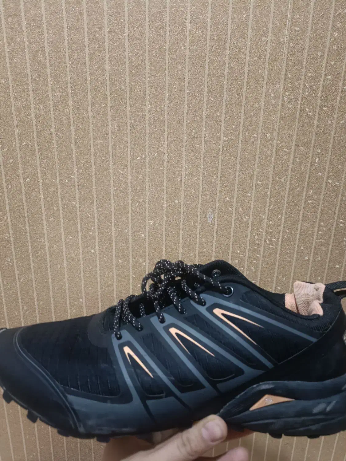 کفش|کیف، کفش، کمربند|نیشابور, هفده شهریور|دیوار