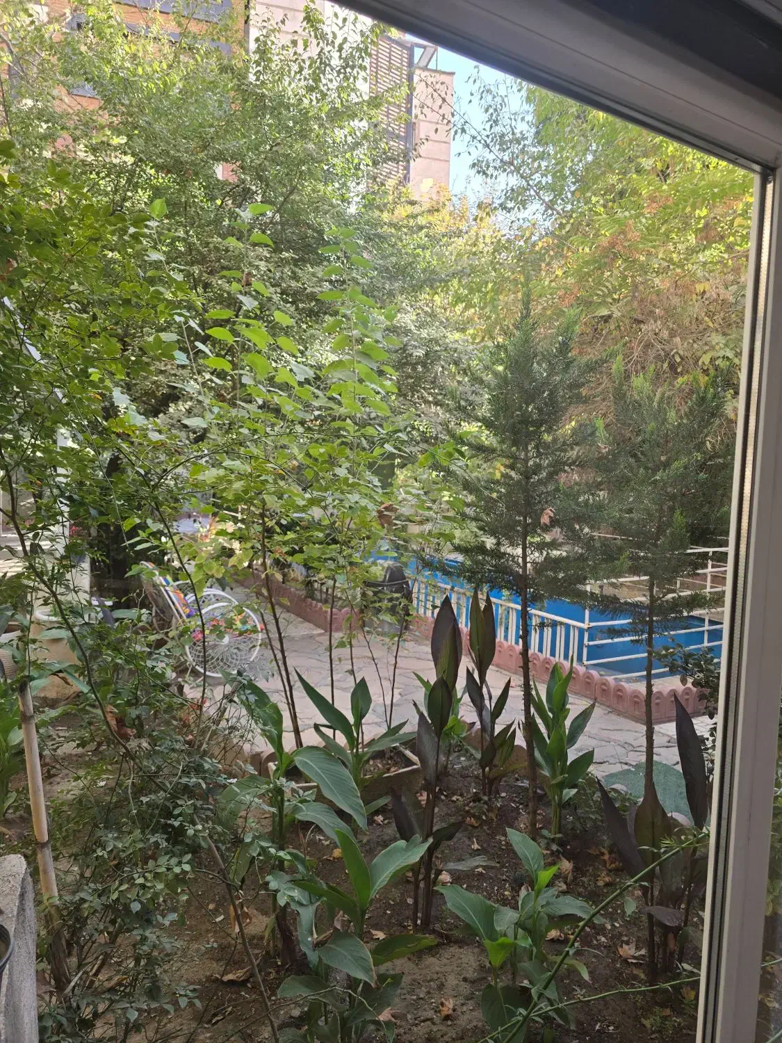 استخدام کارمند اداری|استخدام اداری و مدیریت|تهران, دزاشیب|دیوار