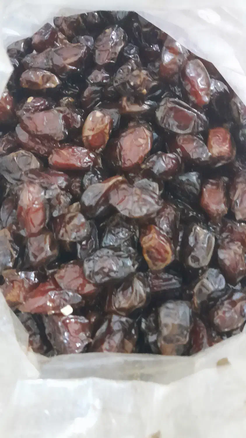 خرمای کبکاب درجه یک|خوردنی و آشامیدنی|درودزن, |دیوار