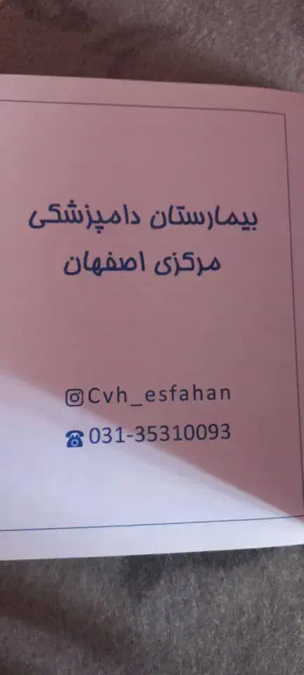 سگ پا کوتا|سگ|یاسوج, |دیوار